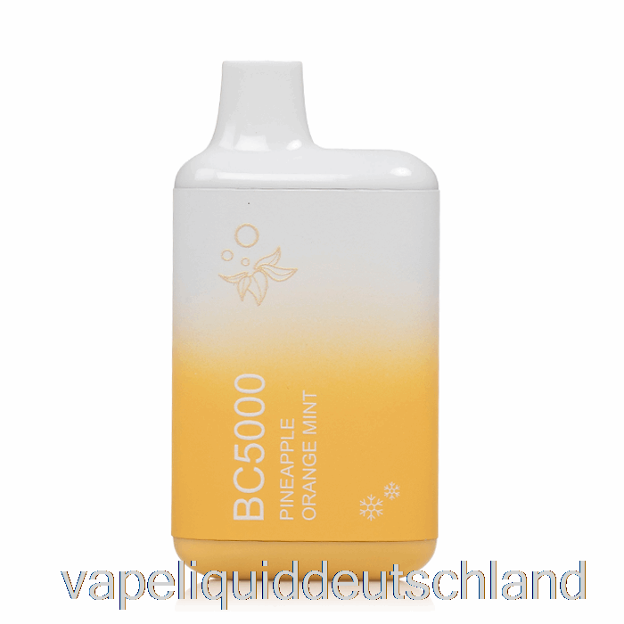 BC5000 Einweg-Vape-Flüssigkeit Ananas Orange Minze